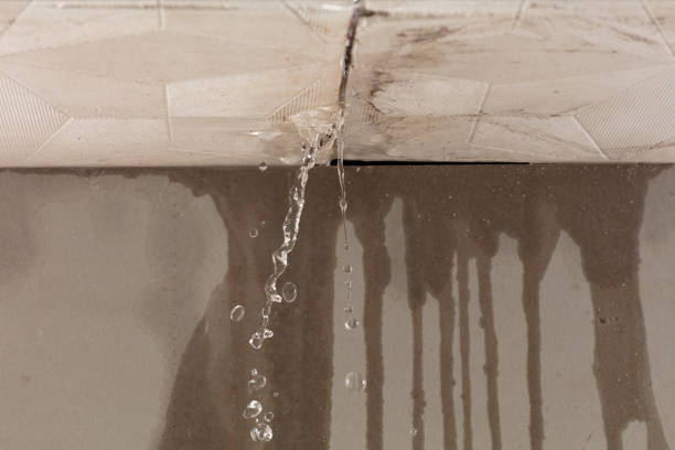Professional Burst Pipe Cleanup technician working in Dana, NC